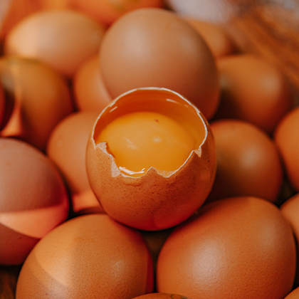 Huevos Frescos