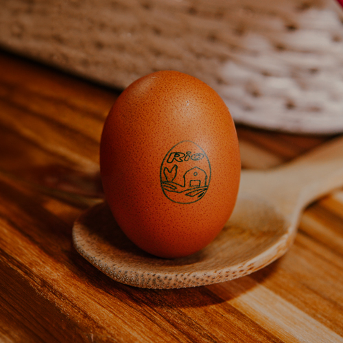 Huevos tipo Jumbo